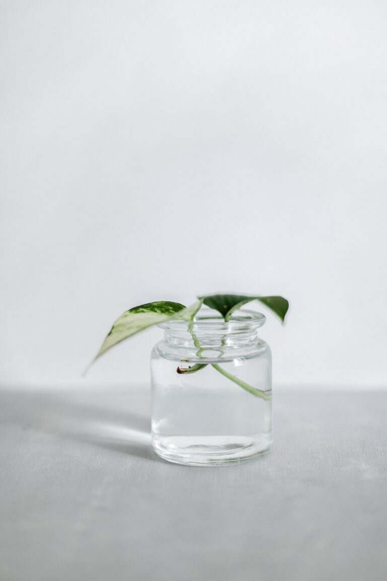 I am Ashley Sanchez.